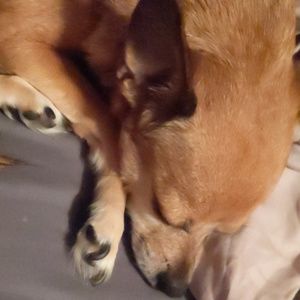 Meet your Posher, Gary